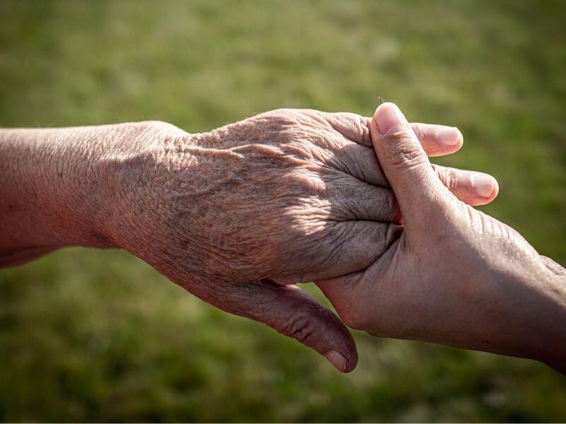 aide financiere portage repas